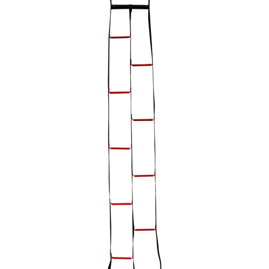 Aspiring Access Ladder