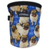 Doug the Pug