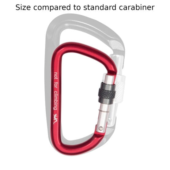 Fixe Accessory D-Shape Screw Gate Carabiner (Not PPE) - Image 4