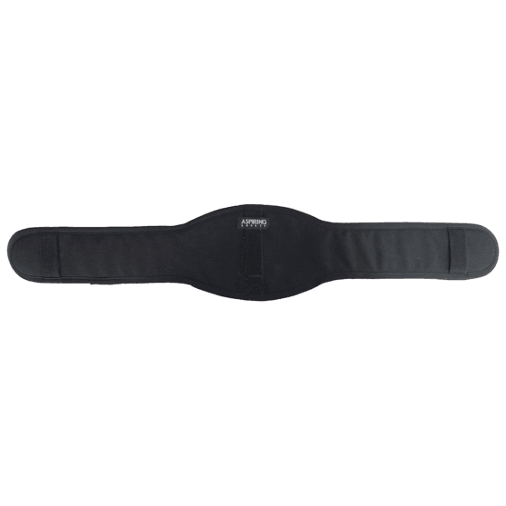 Aspiring Waist Pad - Canyon Bags