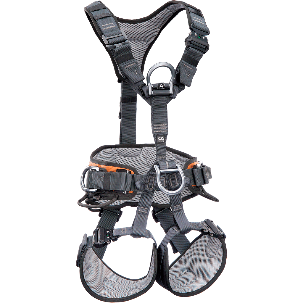 CT Gryphon Harness