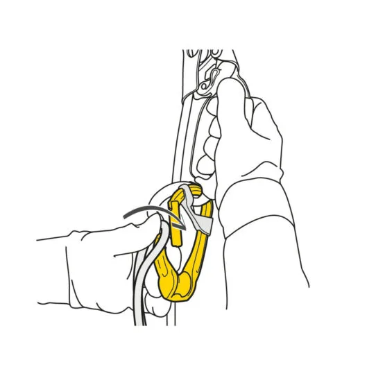 Petzl Rollclip A Snapgate Carabiner - Image 3