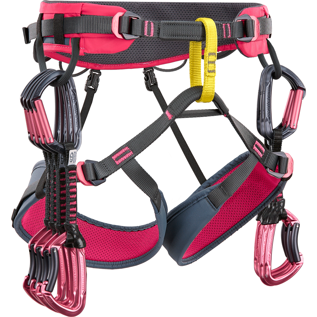 CT Anthea Harness - Pink - Image 3