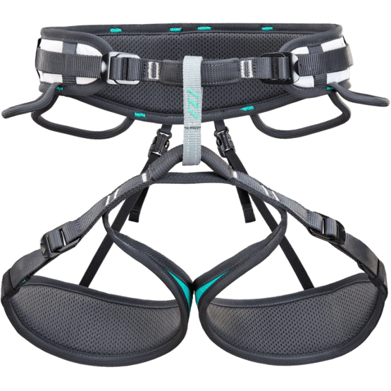 CT Ascent Harness - Green/Black