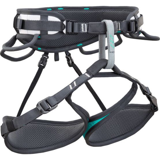 CT Ascent Harness - Green/Black - Image 4