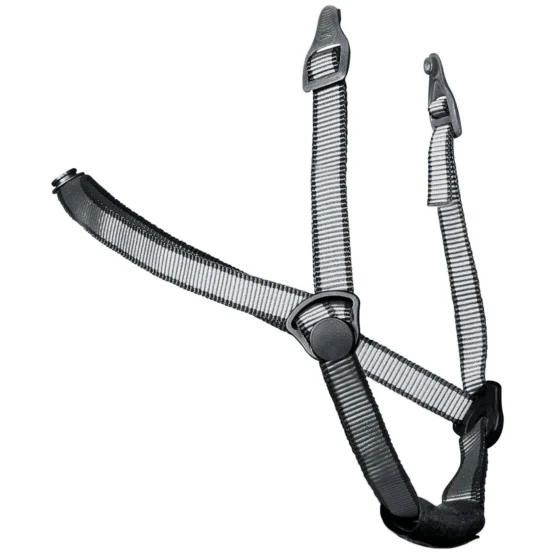 Protos Integral Magnetic Chin Strap