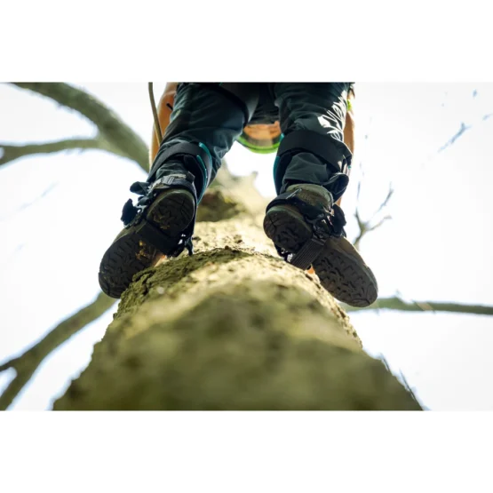 Notch Ergo Climbers - Tree Gaffs - Image 6